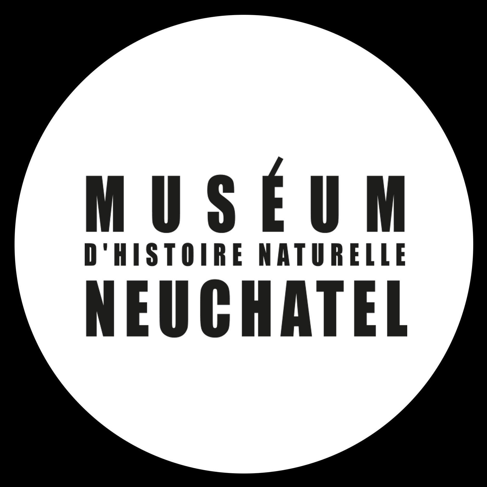 Museum Neuchâtel